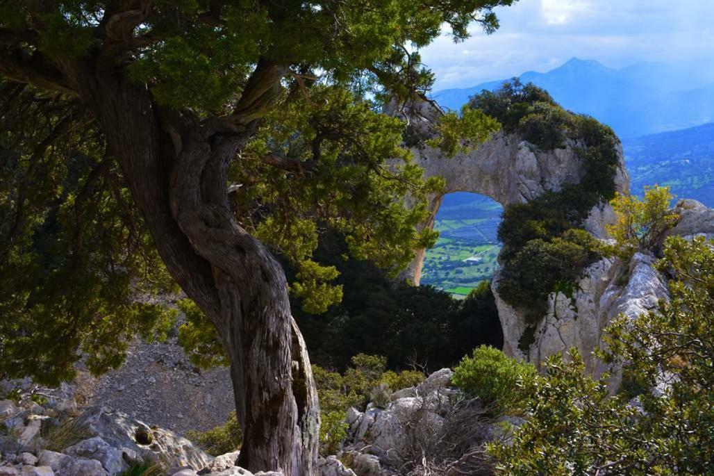 Canne Al Vento Galtellì Exteriér fotografie